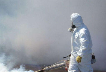 Необходимость проведения фумигации тары