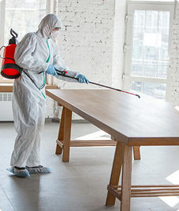 Закажите фумигацию элеватора и получите дератизацию в подарок